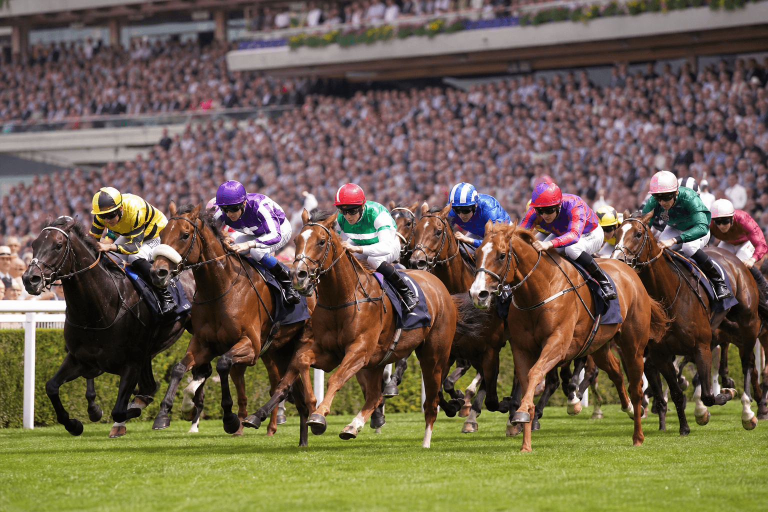 Royal Ascot